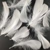 500 Pcs White Artificial Goose Feathers for Birthday Party Wedding Festival Party Decor, 2-5 inch